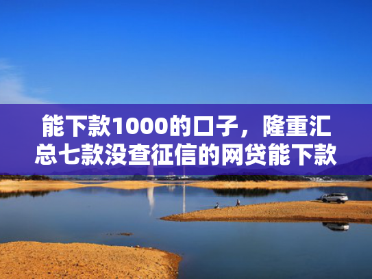 能下款1000的口子，隆重汇总七款没查征信的网贷能下款吗