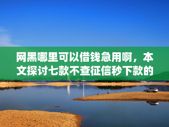 网黑哪里可以借钱急用啊，本文探讨七款不查征信秒下款的网贷app