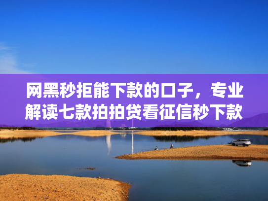 网黑秒拒能下款的口子，专业解读七款拍拍贷看征信秒下款的app