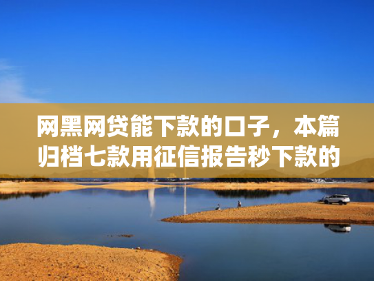 网黑网贷能下款的口子，本篇归档七款用征信报告秒下款的app6