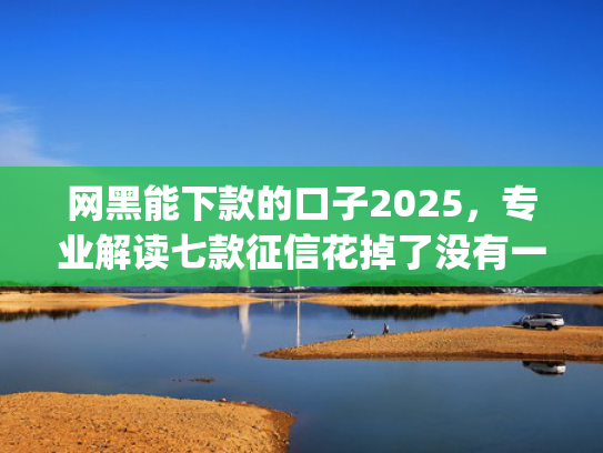 网黑能下款的口子2025，专业解读七款征信花掉了没有一家app下款
