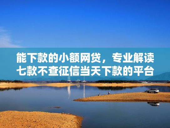 能下款的小额网贷，专业解读七款不查征信当天下款的平台