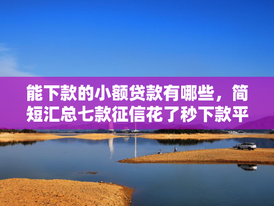 能下款的小额贷款有哪些，简短汇总七款征信花了秒下款平台
