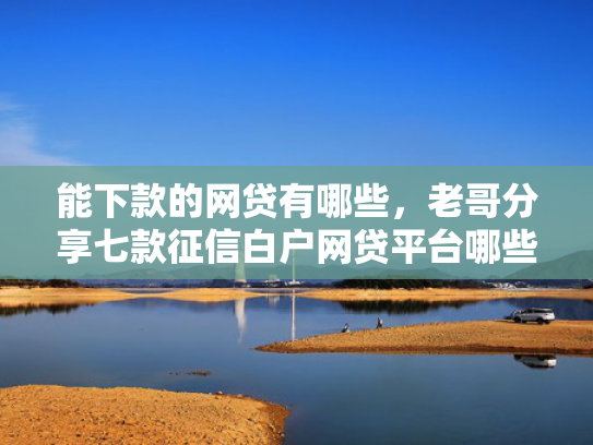 能下款的网贷有哪些，老哥分享七款征信白户网贷平台哪些好下款快