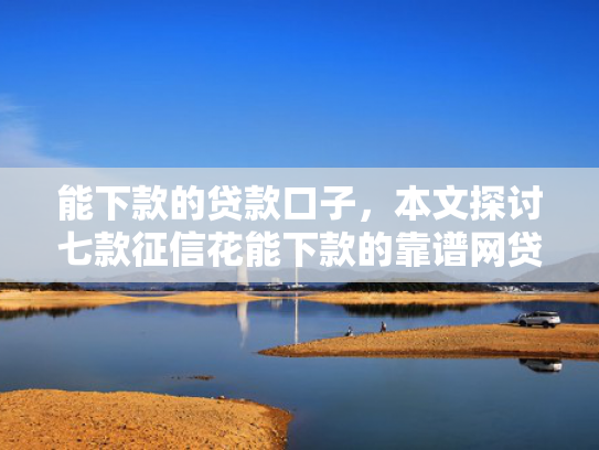 能下款的贷款口子，本文探讨七款征信花能下款的靠谱网贷