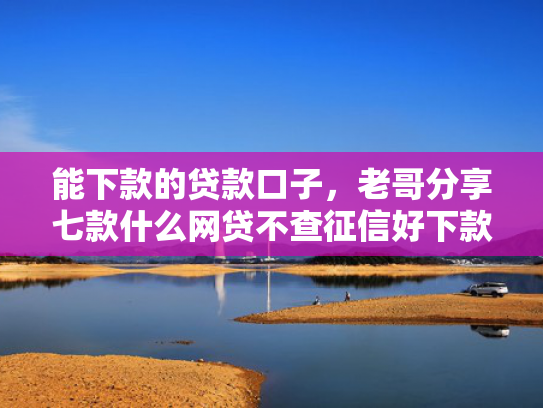 能下款的贷款口子，老哥分享七款什么网贷不查征信好下款不看年龄  第1张
