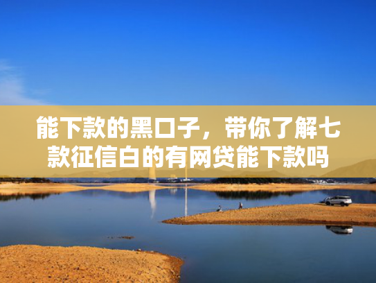 能下款的黑口子，带你了解七款征信白的有网贷能下款吗
