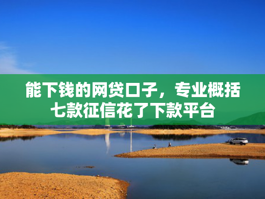 能下钱的网贷口子，专业概括七款征信花了下款平台