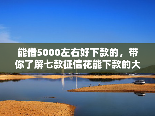 能借5000左右好下款的，带你了解七款征信花能下款的大额网贷