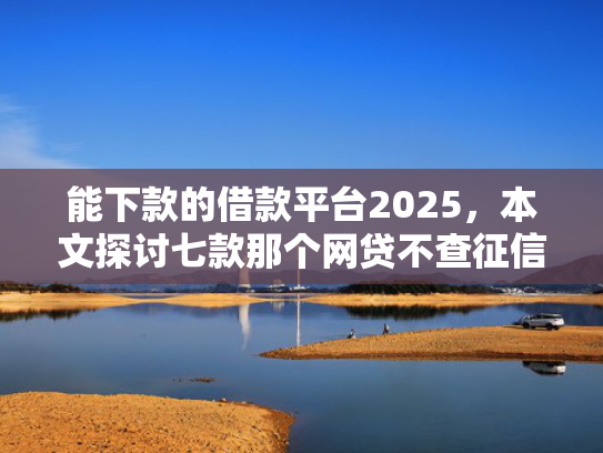 能下款的借款平台2025，本文探讨七款那个网贷不查征信大数据 下款快
