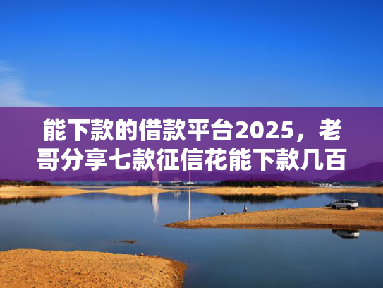 能下款的借款平台2025，老哥分享七款征信花能下款几百的网贷