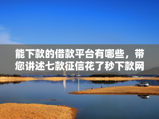能下款的借款平台有哪些，带您讲述七款征信花了秒下款网贷能通过吗