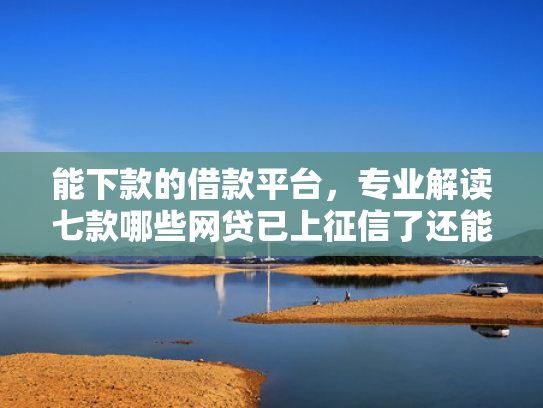 能下款的借款平台，专业解读七款哪些网贷已上征信了还能下款