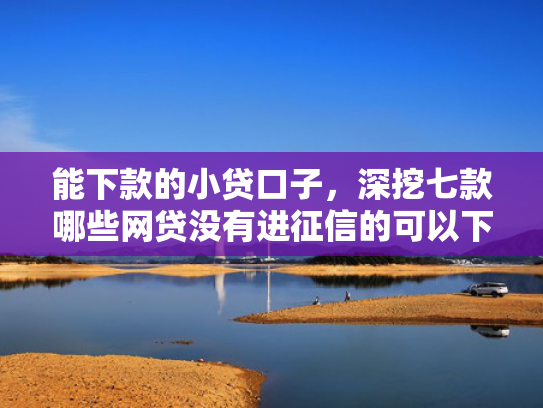 能下款的小贷口子，深挖七款哪些网贷没有进征信的可以下款