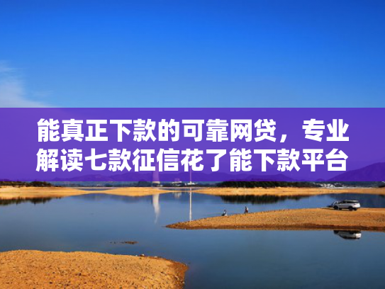 能真正下款的可靠网贷，专业解读七款征信花了能下款平台