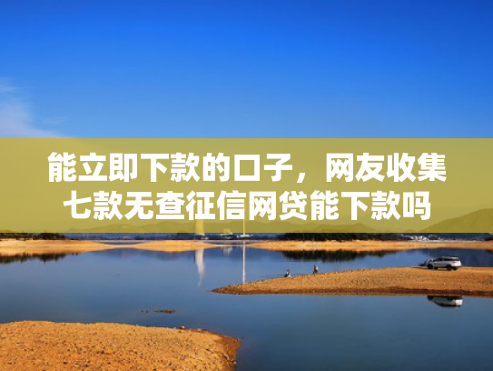 能立即下款的口子，网友收集七款无查征信网贷能下款吗