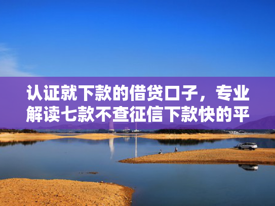 认证就下款的借贷口子，专业解读七款不查征信下款快的平台