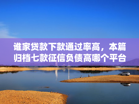 谁家贷款下款通过率高，本篇归档七款征信负债高哪个平台好下款app