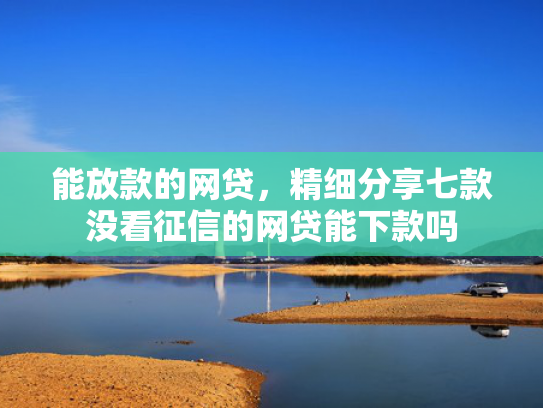 能放款的网贷，精细分享七款没看征信的网贷能下款吗