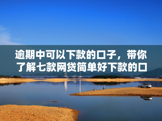 逾期中可以下款的口子，带你了解七款网贷简单好下款的口子