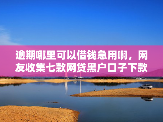 逾期哪里可以借钱急用啊，网友收集七款网贷黑户口子下款口子