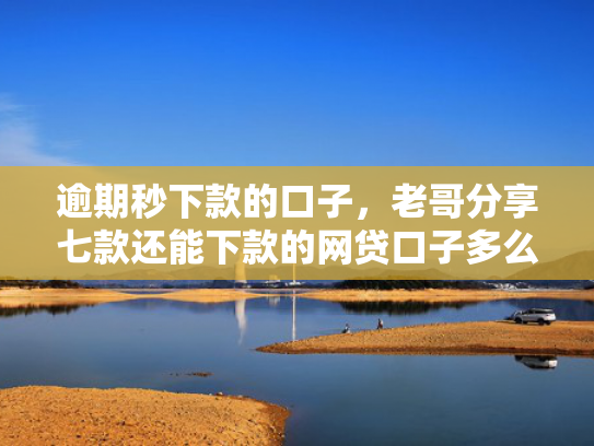 逾期秒下款的口子，老哥分享七款还能下款的网贷口子多么