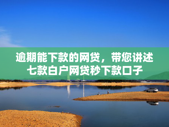 逾期能下款的网贷，带您讲述七款白户网贷秒下款口子