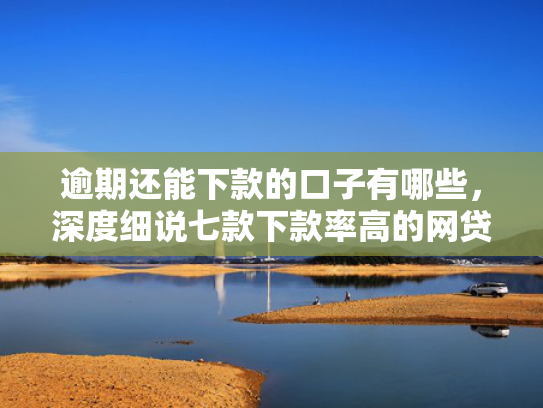 逾期还能下款的口子有哪些，深度细说七款下款率高的网贷口子及贷