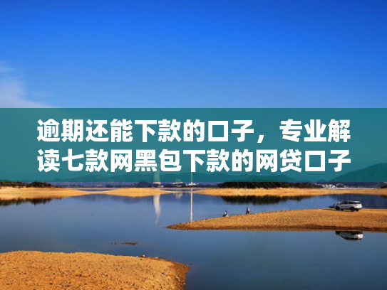 逾期还能下款的口子，专业解读七款网黑包下款的网贷口子
