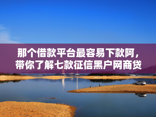 那个借款平台最容易下款阿，带你了解七款征信黑户网商贷下款了