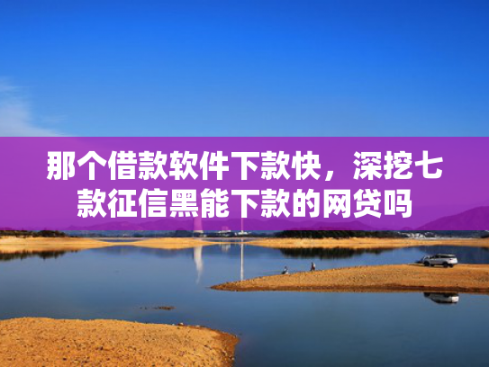 那个借款软件下款快，深挖七款征信黑能下款的网贷吗