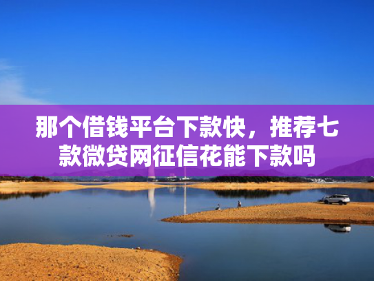 那个借钱平台下款快，推荐七款微贷网征信花能下款吗