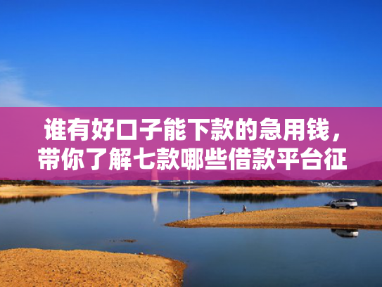 谁有好口子能下款的急用钱，带你了解七款哪些借款平台征信花了可以下款