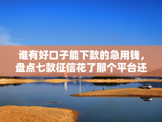 谁有好口子能下款的急用钱，盘点七款征信花了那个平台还可以下款