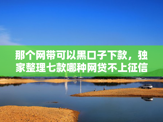 那个网带可以黑口子下款，独家整理七款哪种网贷不上征信好下款