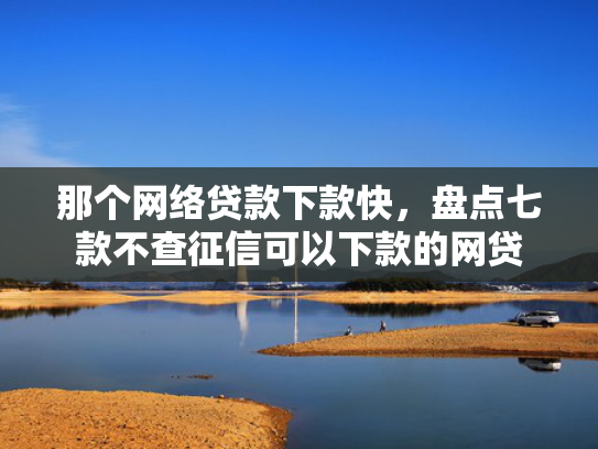 那个网络贷款下款快，盘点七款不查征信可以下款的网贷