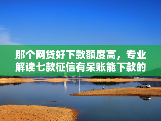 那个网贷好下款额度高，专业解读七款征信有呆账能下款的网贷