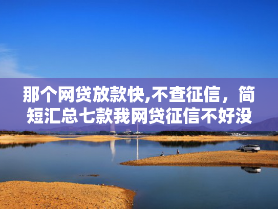 那个网贷放款快,不查征信，简短汇总七款我网贷征信不好没下款