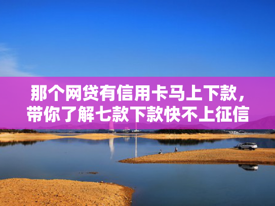 那个网贷有信用卡马上下款，带你了解七款下款快不上征信网贷平台