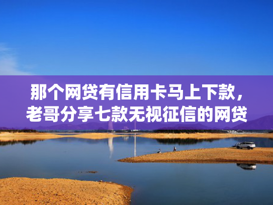 那个网贷有信用卡马上下款，老哥分享七款无视征信的网贷必下款app