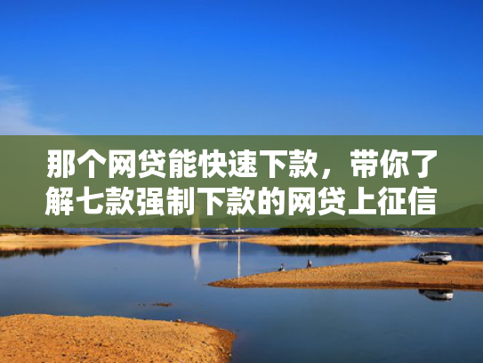 那个网贷能快速下款，带你了解七款强制下款的网贷上征信嘛