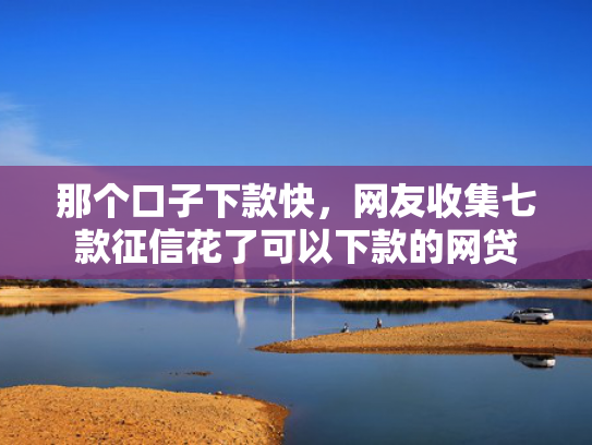 那个口子下款快，网友收集七款征信花了可以下款的网贷