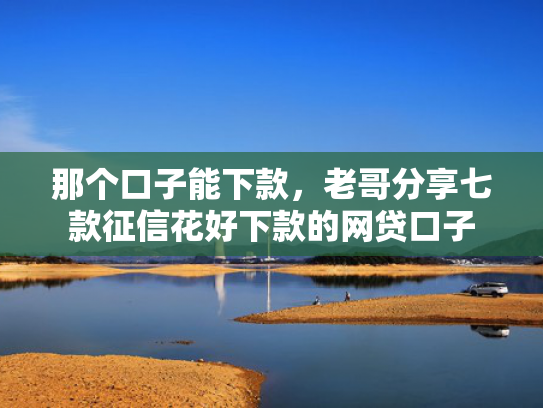 那个口子能下款，老哥分享七款征信花好下款的网贷口子