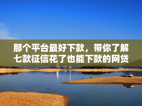 那个平台最好下款，带你了解七款征信花了也能下款的网贷  第1张