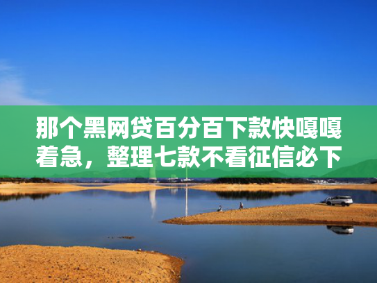 那个黑网贷百分百下款快嘎嘎着急，整理七款不看征信必下款的网贷  第1张