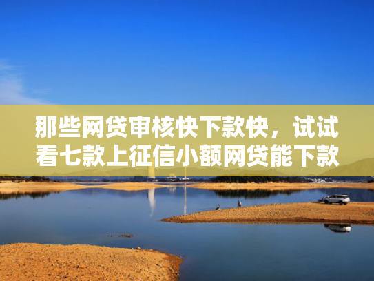 那些网贷审核快下款快，试试看七款上征信小额网贷能下款吗
