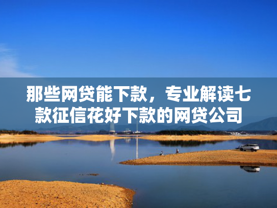 那些网贷能下款，专业解读七款征信花好下款的网贷公司