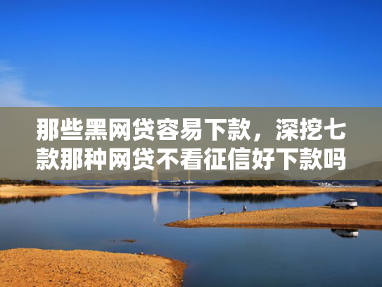 那些黑网贷容易下款，深挖七款那种网贷不看征信好下款吗