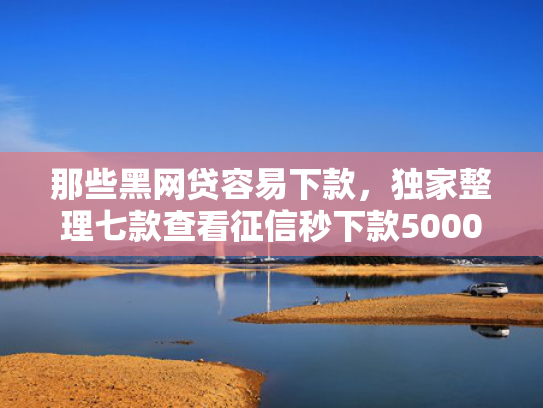 那些黑网贷容易下款，独家整理七款查看征信秒下款5000的网贷