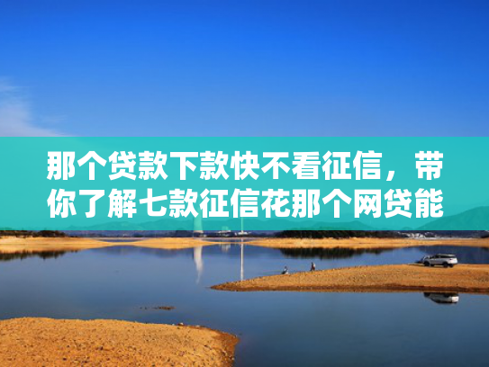 那个贷款下款快不看征信，带你了解七款征信花那个网贷能下款